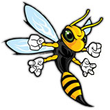 Cheshire Hornets 1 Logo